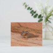 赤岩のシオン・チムンク ポストカード (スタンド正面)