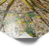 赤岩砂漠植物 フォトプリント            (角)