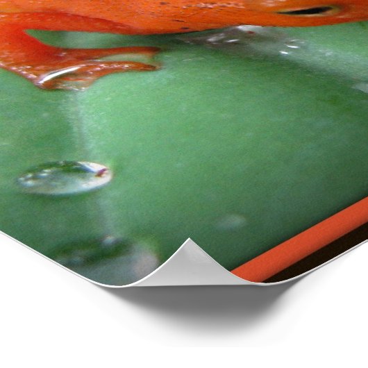 赤左 ポスター (角)