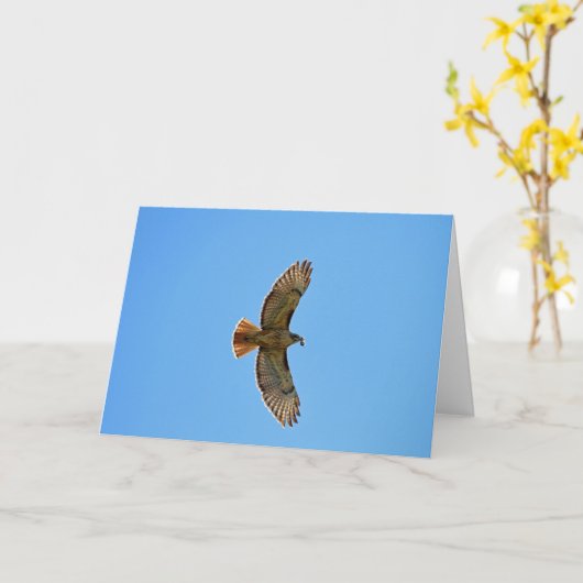 赤後につかれたタカの写真 カード (黄色い花)