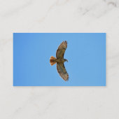 赤後につかれたタカの写真 名刺 (裏面)