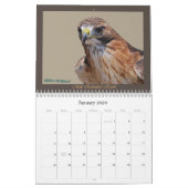 赤後につかれたタカの年次カレンダー カレンダー (1月 2026)