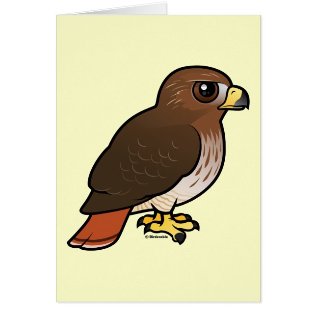 赤後につかれたタカ (正面)