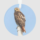 赤後につかれたタカ オーナメント (裏面)