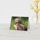 赤後につかれたタカ カード (黄色い花)