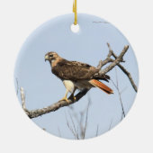 赤後につかれたタカ セラミックオーナメント (裏面)