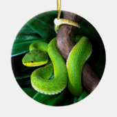 赤後につかれたタケpitviper セラミックオーナメント (正面)