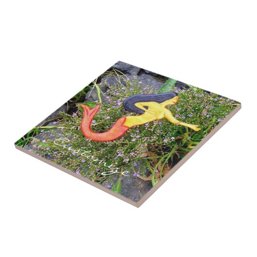 赤後につかれたsirenaの人魚 タイル (側面)