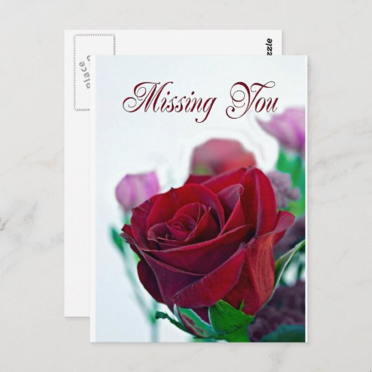赤恋しく思いバラのクラシックのカード ポストカード (正面/裏面)