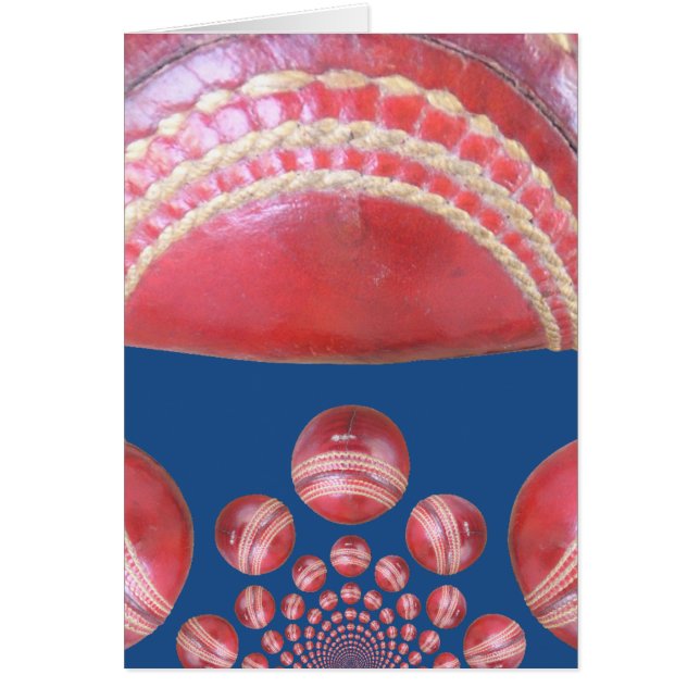 赤感動的国際的クリケットのボール (正面)