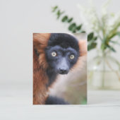 赤手付きキムールポストカード ポストカード (スタンド正面)