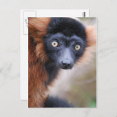 赤手付きキムールポストカード ポストカード (正面/裏面)