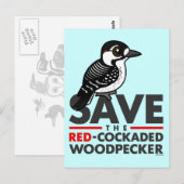 赤救の眼鏡 ポストカード (正面/裏面)