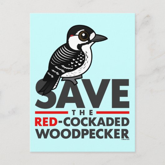 赤救の眼鏡 ポストカード (正面)