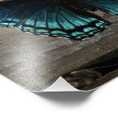 赤斑紫斑蝶 フォトプリント            (角)