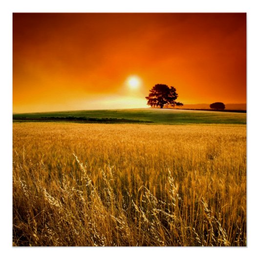 赤日の入り ポスター (正面)