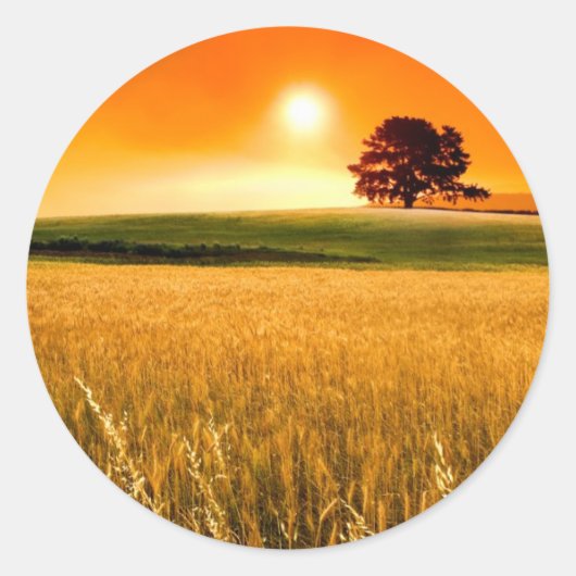 赤日の入り ラウンドシール (正面)