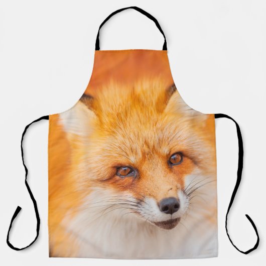 赤日本のい狐が眠っ遊て入る  エプロン (正面)