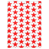 赤星模様 クリップボード (裏面)