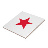 赤星 タイル (側面)