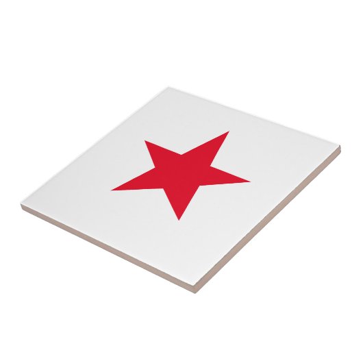 赤星 タイル (側面)