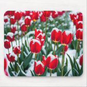 赤春チューリップ入り雪 マウスパッド (正面)