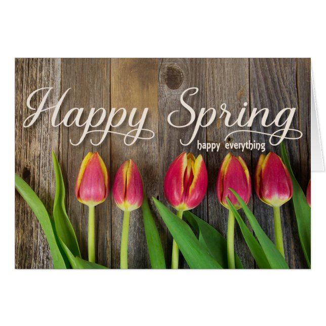 赤春チューリップ (正面横)