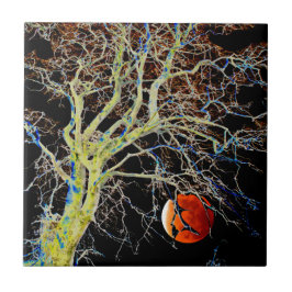 赤月昇り タイル