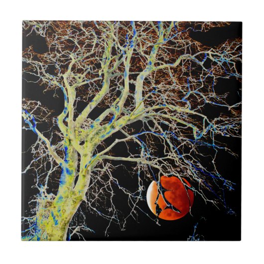 赤月昇り タイル (正面)