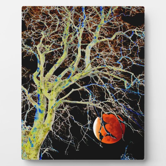 赤月昇り フォトプラーク (正面)