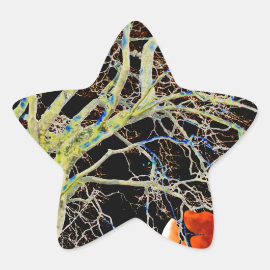 赤月昇り 星シール (正面)