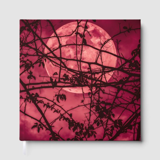 赤月 ゲストブック (正面)