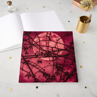 赤月 ゲストブック