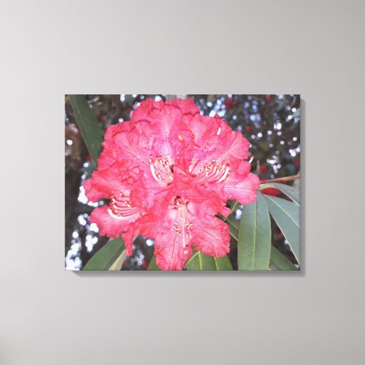 赤木の花 キャンバスプリント (正面)