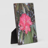 赤木の花 フォトプラーク (側面)