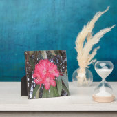 赤木の花 フォトプラーク (インサイチュ)