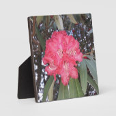 赤木の花 フォトプラーク (正面)