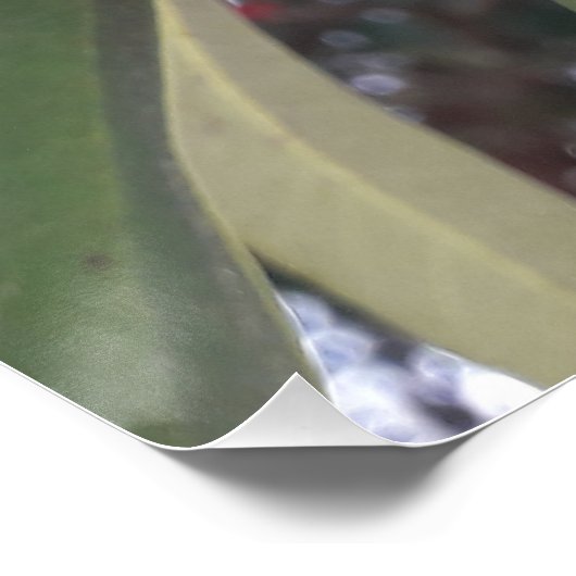 赤木の花 ポスター (コーナー)