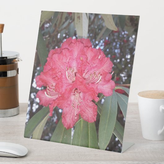 赤木の花 台座サイン (インサイチュ)