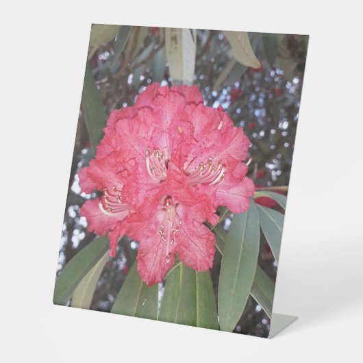 赤木の花 台座サイン (正面)