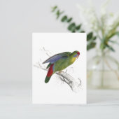 赤枠のパレーキエ ポストカード (スタンド正面)