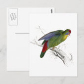 赤枠のパレーキエ ポストカード (正面/裏面)