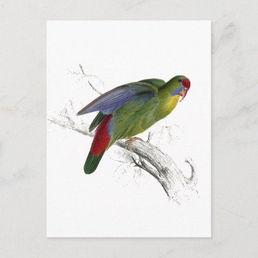 赤枠のパレーキエ ポストカード (正面)