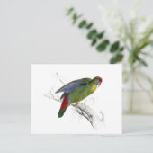 赤枠のパレーキエ ポストカード (スタンド正面)