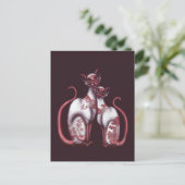 『赤柳シャム猫はがき』 ポストカード (スタンド正面)