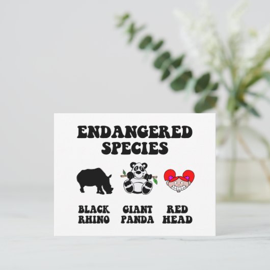 赤毛のおもしろい人 ポストカード (スタンド正面)