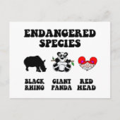 赤毛のおもしろい人 ポストカード (正面)