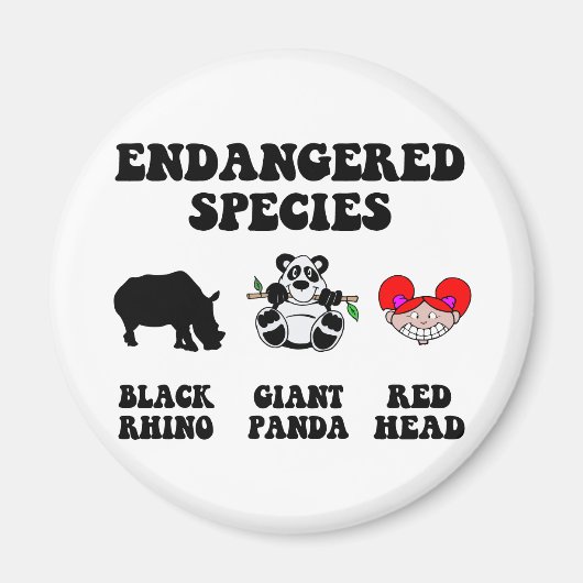 赤毛のおもしろい人 マグネット (正面)