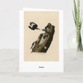 赤毛のアカゲザル – Audubon's Birds of America カード (裏面)
