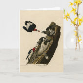 赤毛のアカゲザル – Audubon's Birds of America カード (黄色い花)